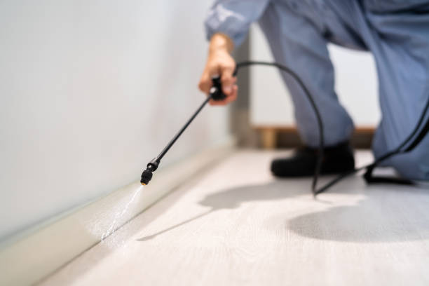 Certified termite inspector examining foundation in Glastonbury Center